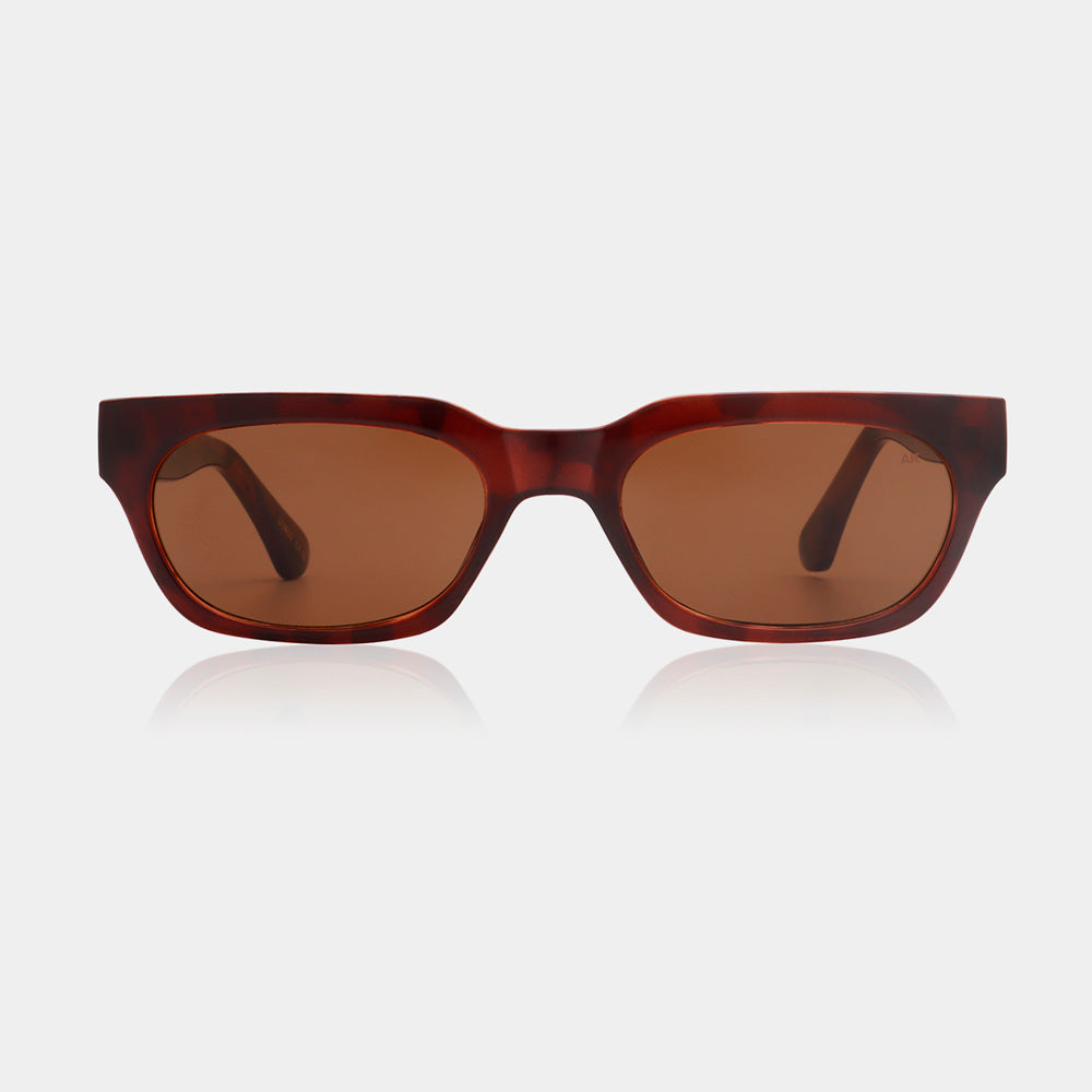 A. Kjærbede Solbriller Bror Brown/Demi Light Transparent