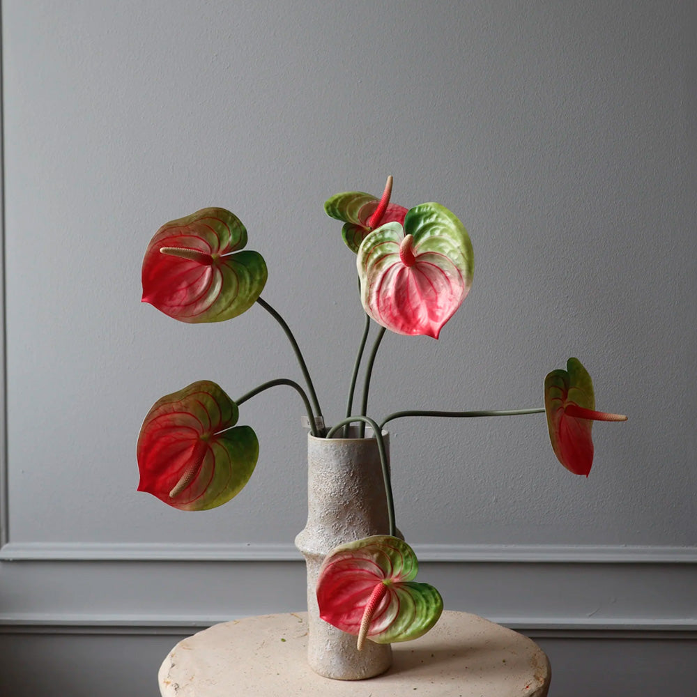 Botané Studios Evighedsblomst Anthurium Lyserød Kunstig