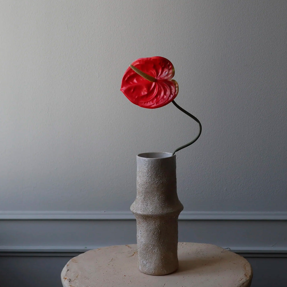 Botané Studios Evighedsblomst Anthurium Rød