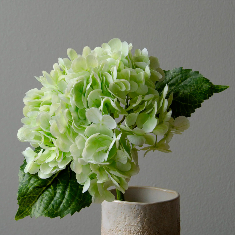 Botané Studios Evighedsblomst Hortensia Lyse Grøn Kunstig