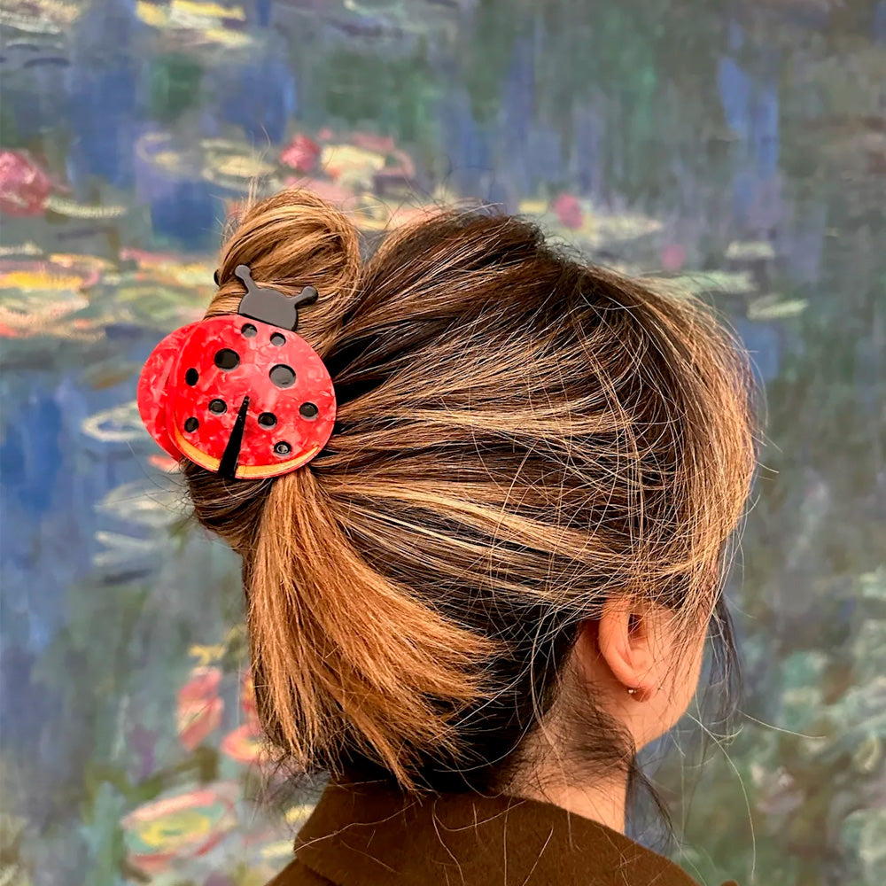 Solar Eclipse Hårklemme Mariehøne