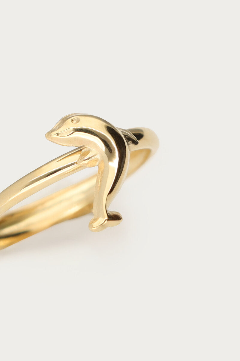 Tropical ring with dolphin close up