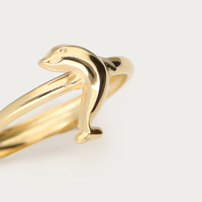Tropical ring with dolphin close up